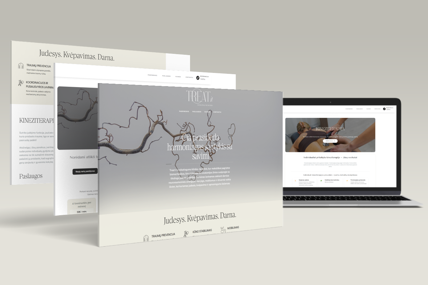 Automobilių aksesuarų ir kitų priedų elektroninė parduotuvė, sukurta pagal individualius kliento poreikius, užtikrinant išskirtinį funkcionalumą ir patogumą.