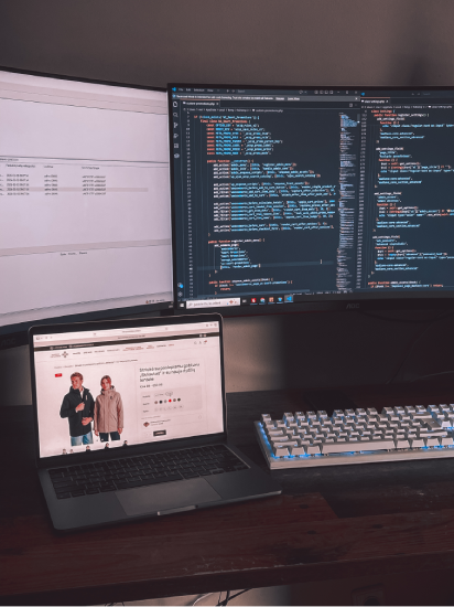 Programuojama nuo 0 individuali ekomercijos sistema