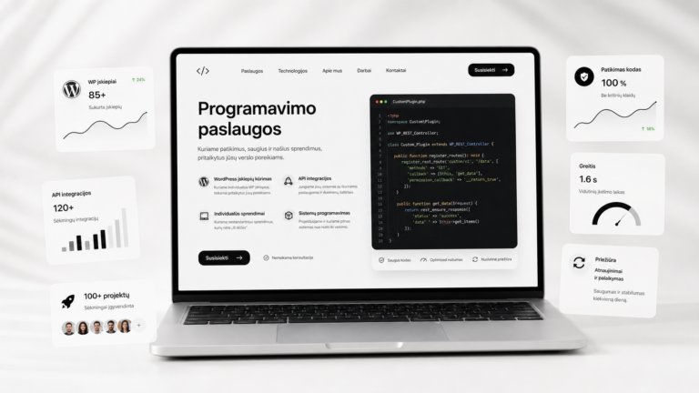 profesionalios programavimo paslaugos