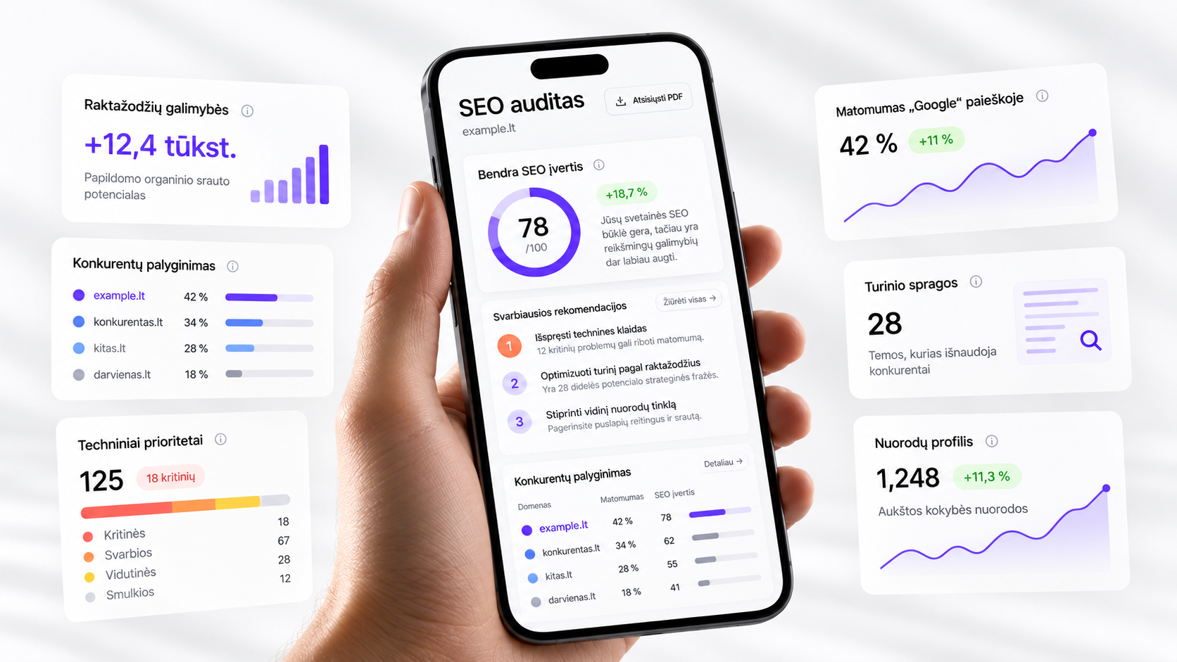 SEO audito metu atliekamas konkurentų, raktažodžių ir organinio matomumo palyginimas