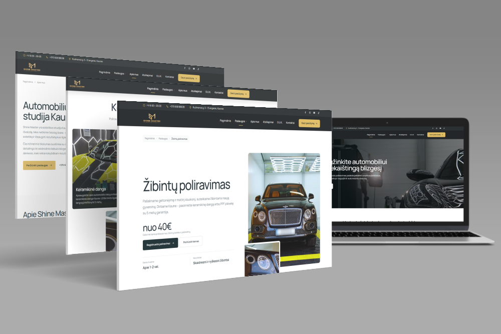 shinemaster internetine svetaine
