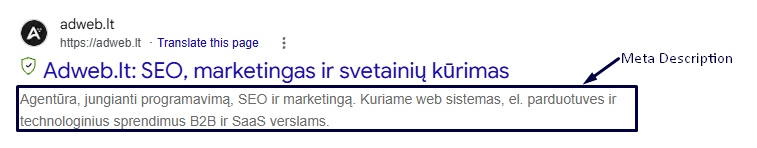 kaip atrodo meta description paieškos rezultatuose