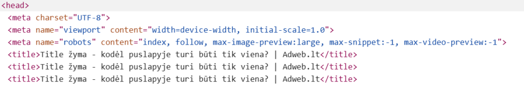 Kodėl puslapyje turėtų būti tik vienas title